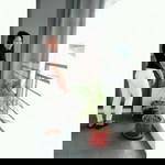 Eunice Makinano Reynante profile icon