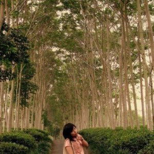 Vansa Felicia profile icon