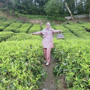 Rani Erien profile icon