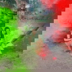 Lê Bảo Trâm profile icon