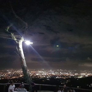 Marje Gal profile icon