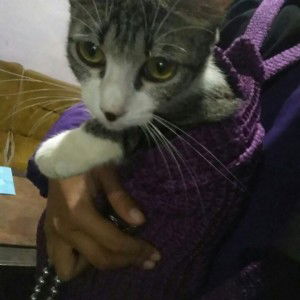 Nurhanifah Gussani profile icon