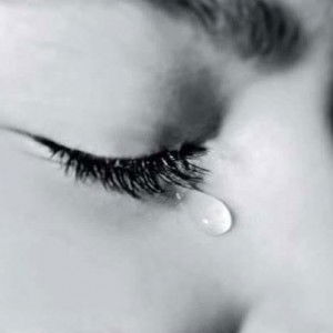 Chi Ut Nguyen profile icon