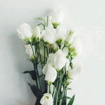 Ummi Umi profile icon