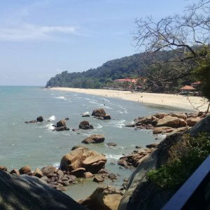 sureyny shukor profile icon