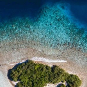 Reni We profile icon