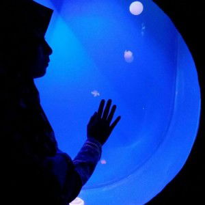 Dwi Kumalasari profile icon