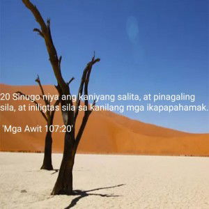 Zar P. Pogoso profile icon