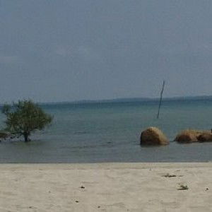 Syafina Rahmat profile icon