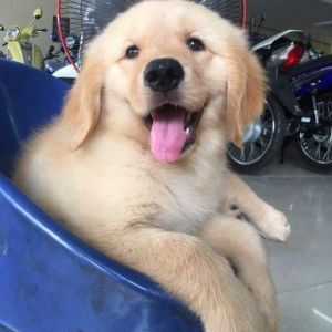 Nittaya Ngaokham profile icon