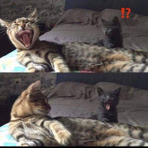 Na Napawan Phamornpol profile icon