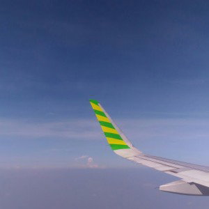 fina alfiati profile icon