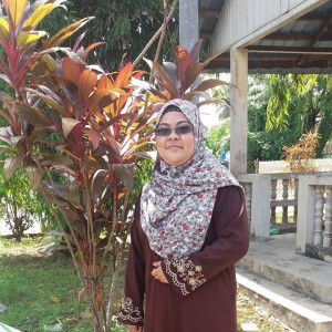 Nurul Wafie profile icon