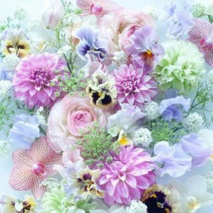 inggit gita handayani profile icon