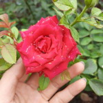 Đỗ Thị Là profile icon