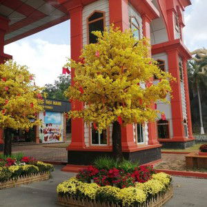 My Gumy profile icon