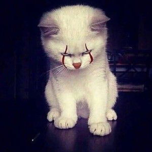 ÄLfî Munyue Munyue profile icon