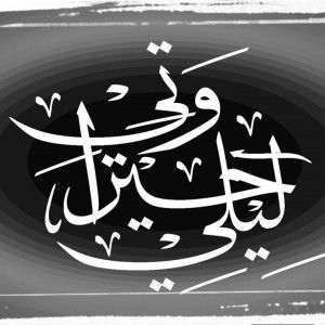 Ly Al-hikmatul Auliya profile icon