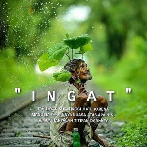 Dessy Bae profile icon