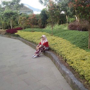 Nur Faizah profile icon