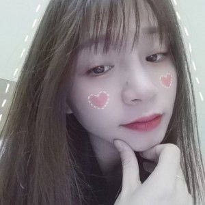 Việt Anh profile icon