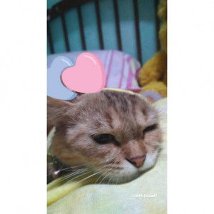 rahmi yuliastri utami profile icon