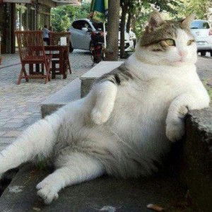 It’s ME profile icon