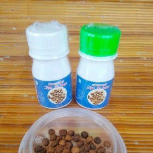 Nur Fajar profile icon