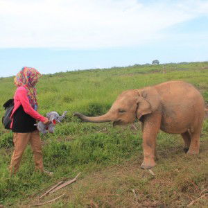 Eka Riyani profile icon