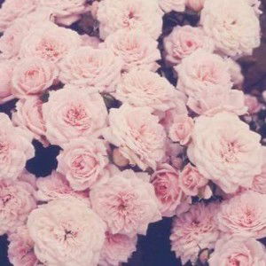 miss lina profile icon