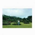 Ayu Rosyida profile icon