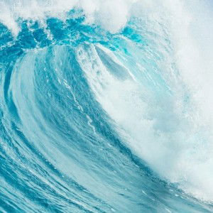 Kusuma Elok profile icon