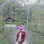 Uswatun Hasa profile icon