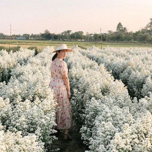 Miinew Kanlayakorn profile icon