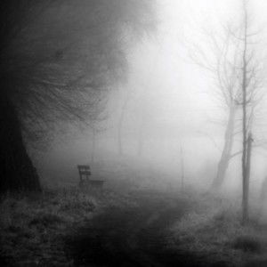 Safriani profile icon