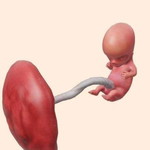 Herlie Balico profile icon