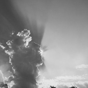 Eunice Cheng profile icon