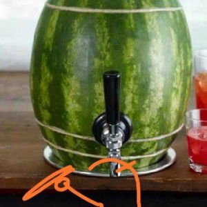 Rollan Xax profile icon