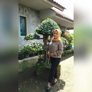 Jully Al Adlian profile icon