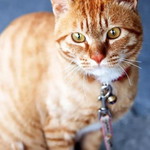 قد كفاني profile icon