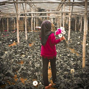 Susann Dhaniawan profile icon