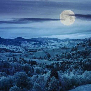 Aji Iii Miyo profile icon