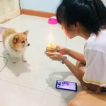 มันจบปัยหมดแล้ว เรื่องราวที่เคยเจ็บปวด profile icon