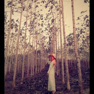 Nur Ailana Husna profile icon