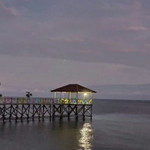 Ayuwandira Tamandalan profile icon