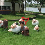 ภูวนัย ใจรักดี profile icon