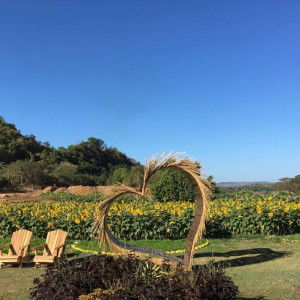 anonymous profile icon