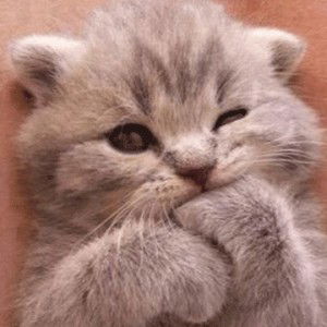 ms Rira profile icon