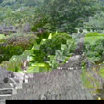 Black Hunter profile icon