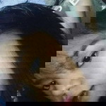 Rachelle Avila profile icon